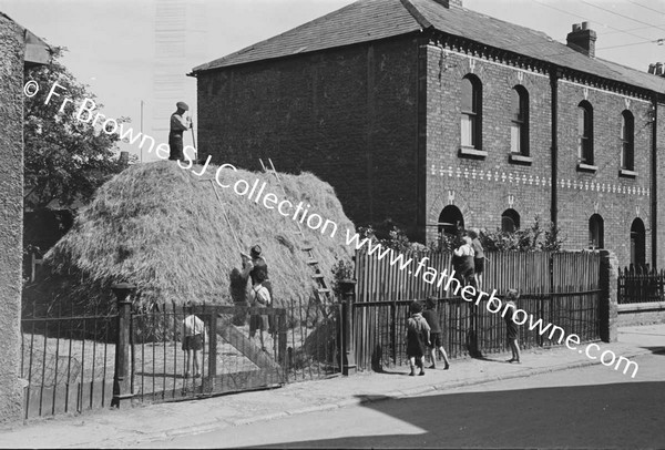 RATHMINES ROAD HAYSTACK